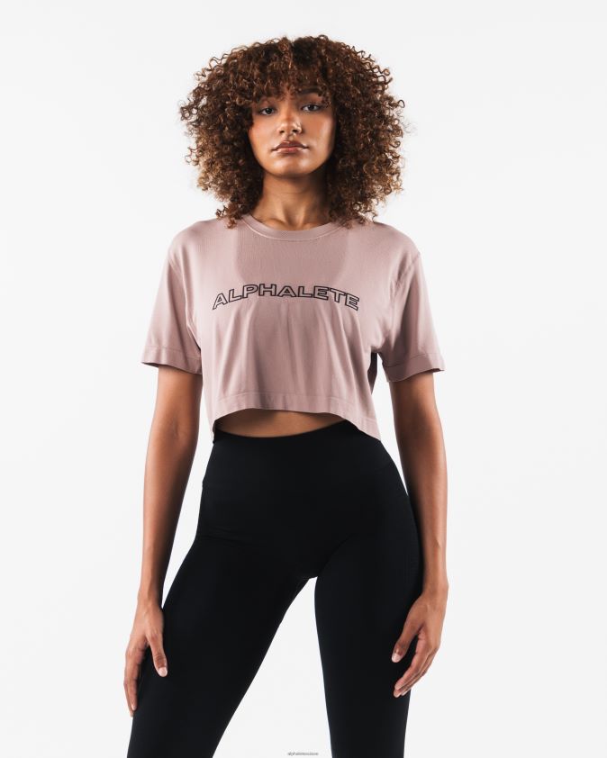 femmes vêtements 46FZDN205 Alphalete récolte de base airtech ss marron porcelaine
