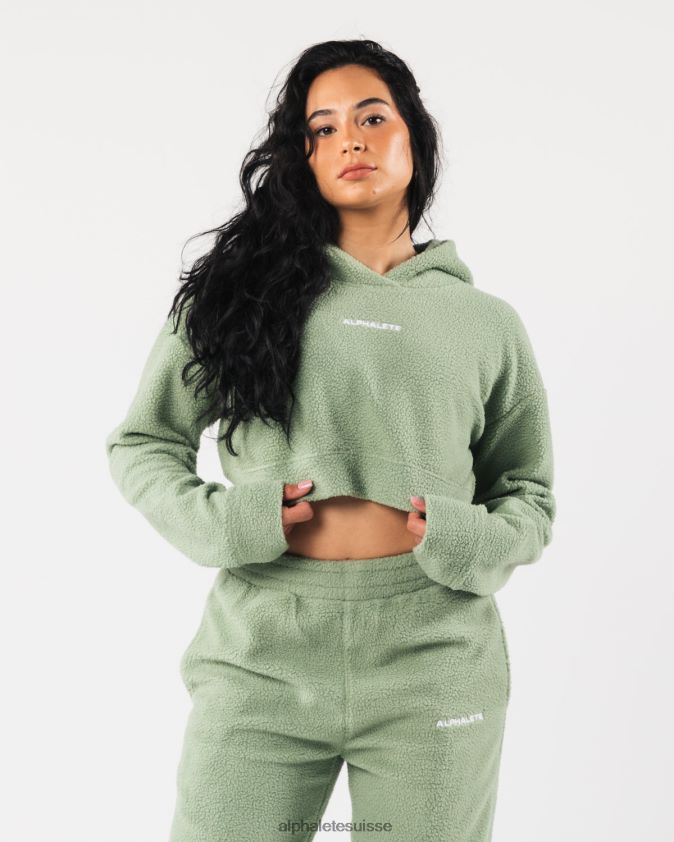 femmes vêtements 46FZDN275 Alphalete sweat à capuche king crop vert sauge