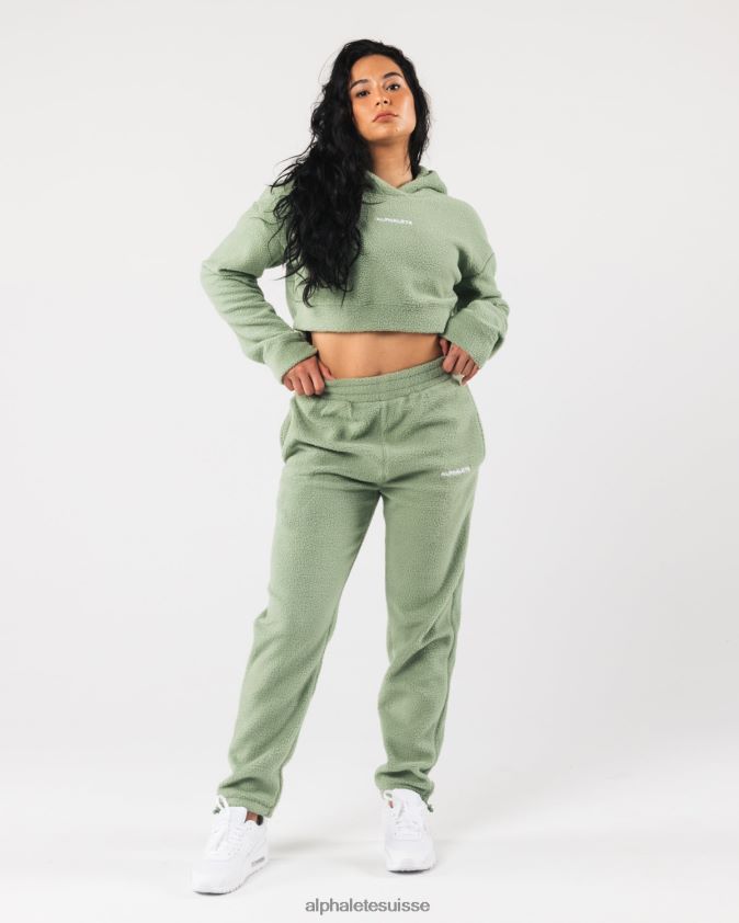 femmes vêtements 46FZDN275 Alphalete sweat à capuche king crop vert sauge