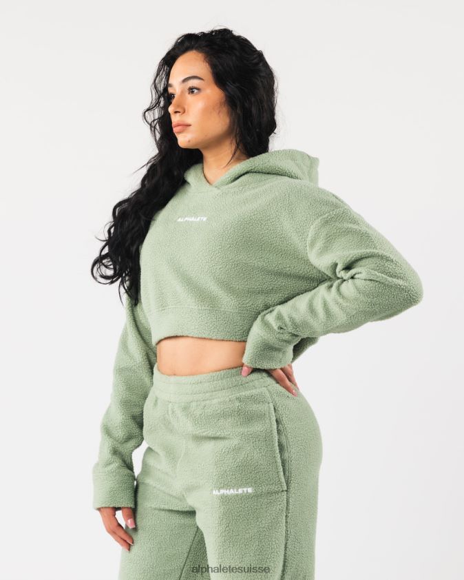 femmes vêtements 46FZDN275 Alphalete sweat à capuche king crop vert sauge