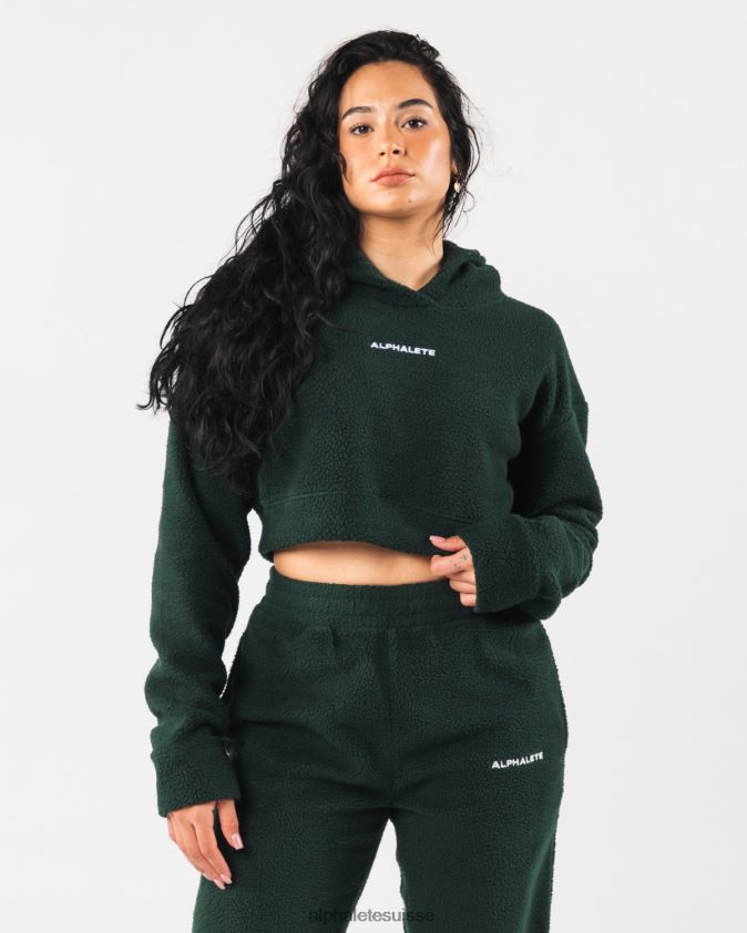 femmes vêtements 46FZDN276 Alphalete sweat à capuche king crop vert persistant