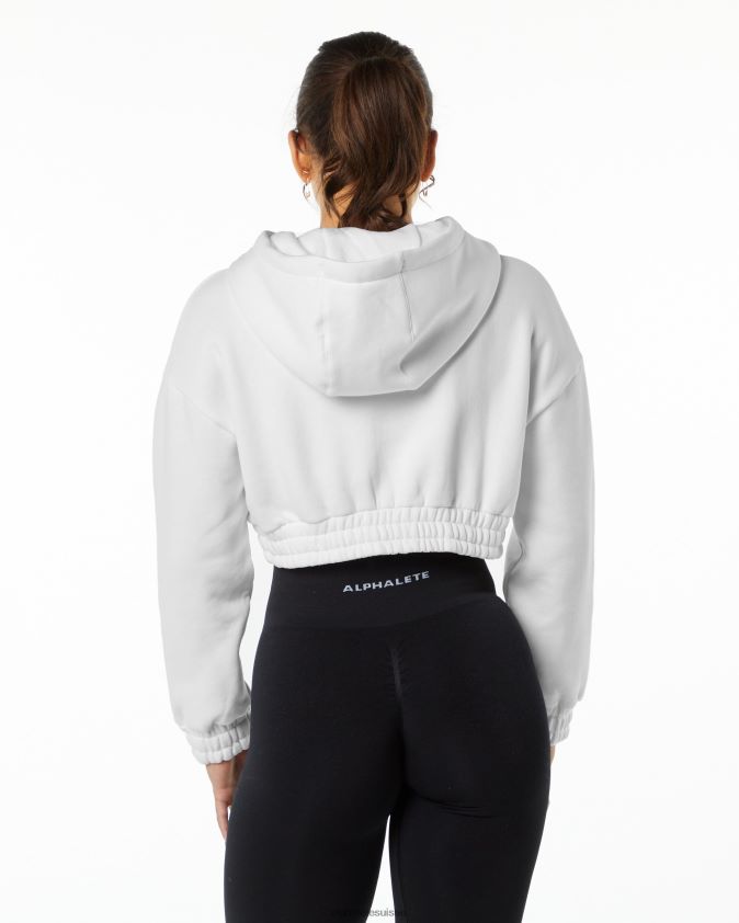 femmes vêtements 46FZDN280 Alphalete sweat à capuche classique blanc