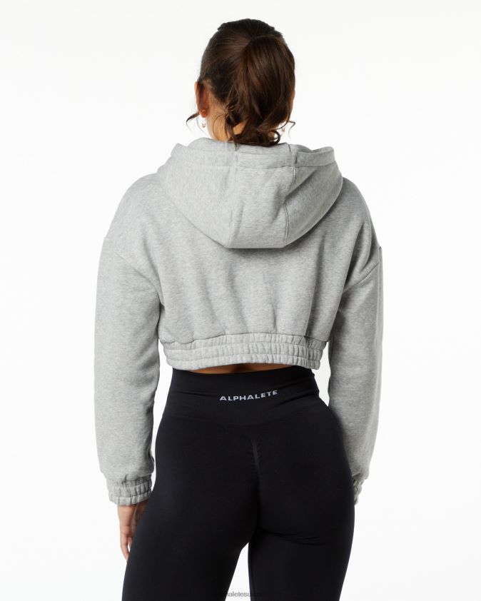 femmes vêtements 46FZDN281 Alphalete sweat à capuche classique gris chiné