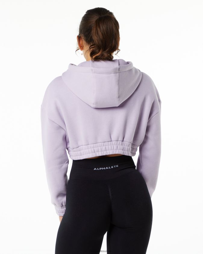 femmes vêtements 46FZDN282 Alphalete sweat à capuche classique violet lilas brumeux