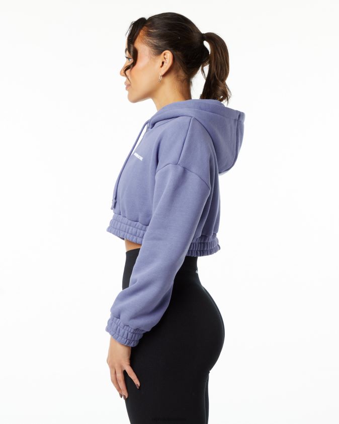 femmes vêtements 46FZDN283 Alphalete sweat à capuche classique violet numérique violet