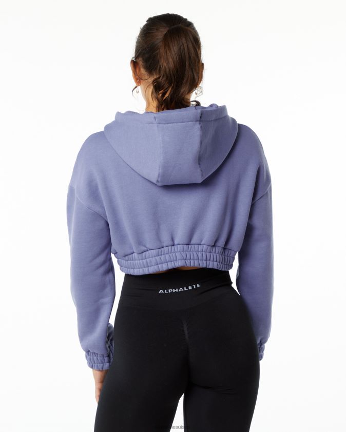 femmes vêtements 46FZDN283 Alphalete sweat à capuche classique violet numérique violet