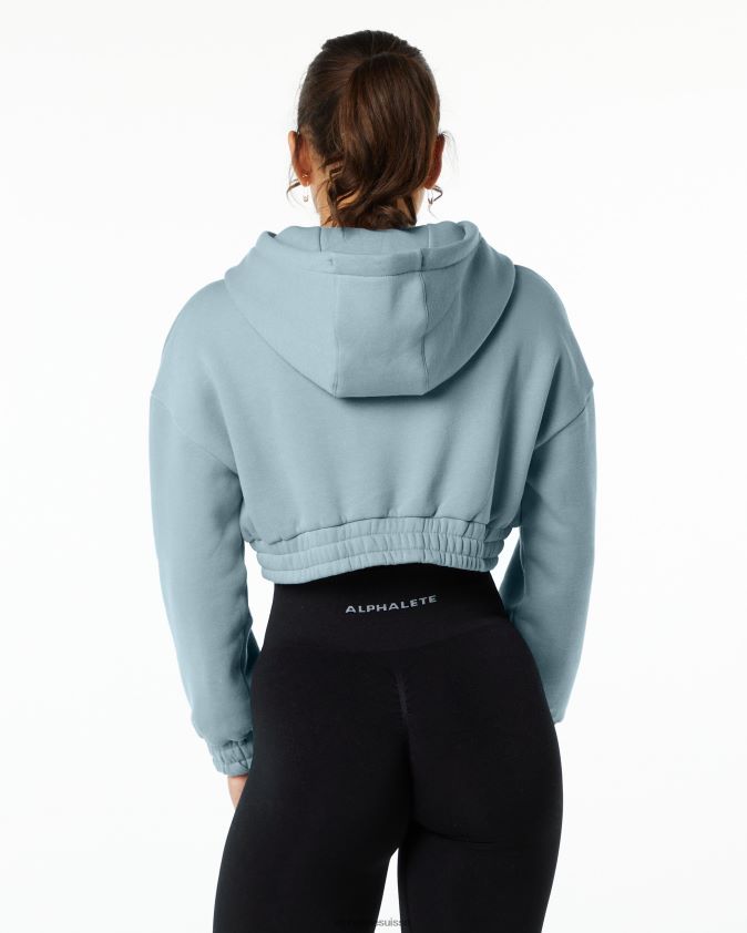 femmes vêtements 46FZDN284 Alphalete sweat à capuche classique bleu brouillard