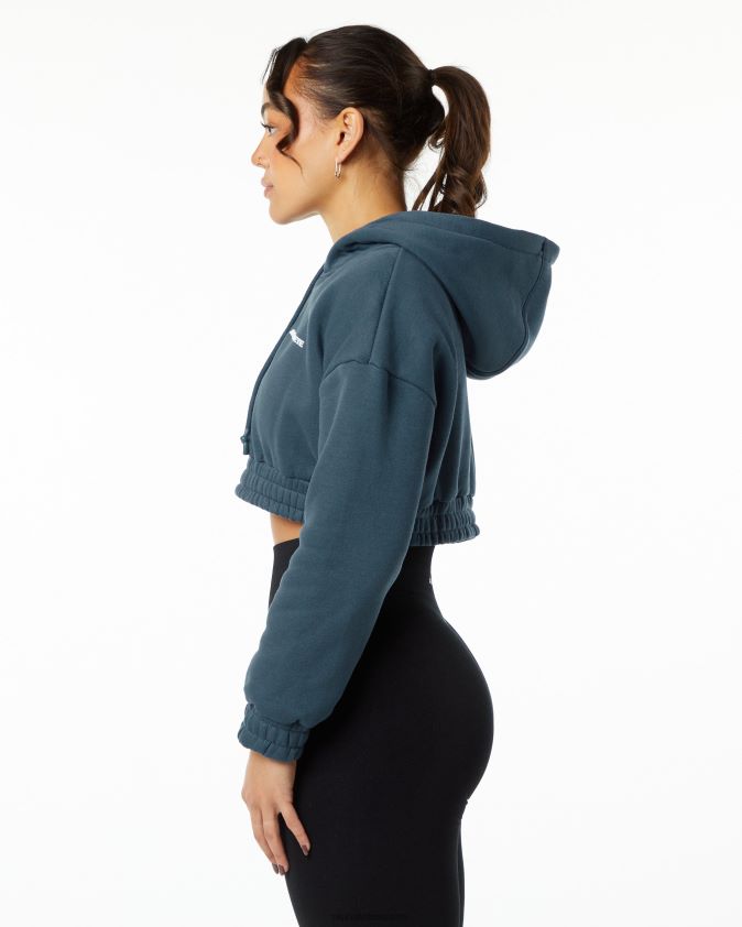femmes vêtements 46FZDN285 Alphalete sweat à capuche classique bleu baleine