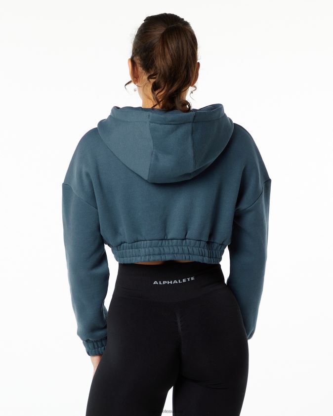 femmes vêtements 46FZDN285 Alphalete sweat à capuche classique bleu baleine