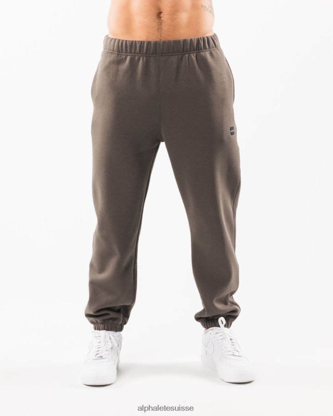 Hommes vêtements 46FZDN720 Alphalete jogging décontracté Academy marron taupe désert