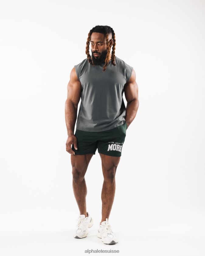 Hommes vêtements 46FZDN586 Alphalete réservoir musculaire à tête de loup brossé gris fumée