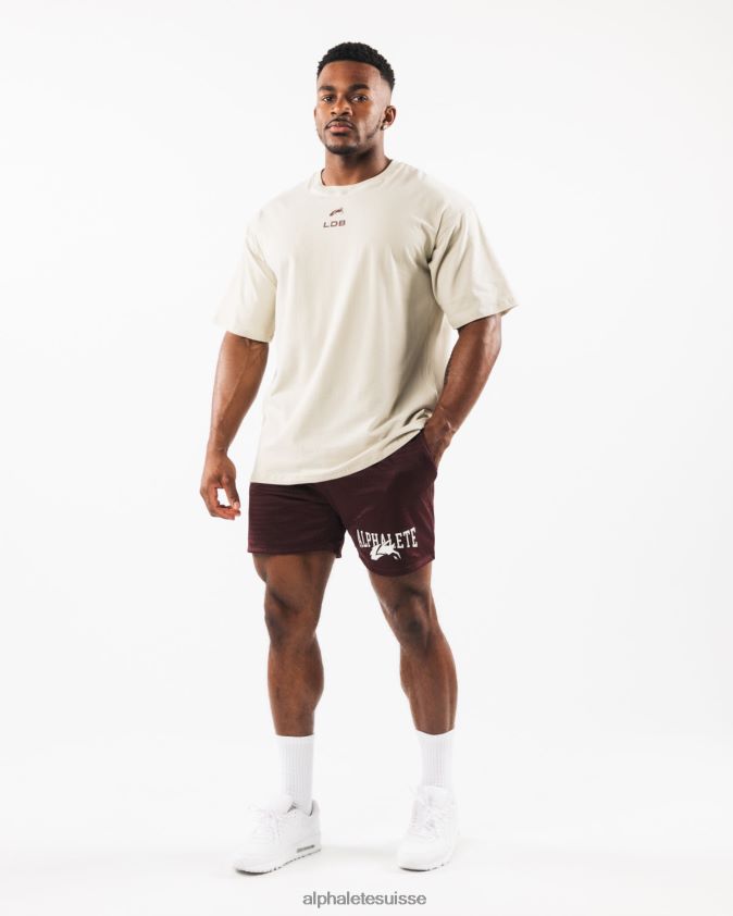 Hommes vêtements 46FZDN659 Alphalete tête de loup maille courte 6