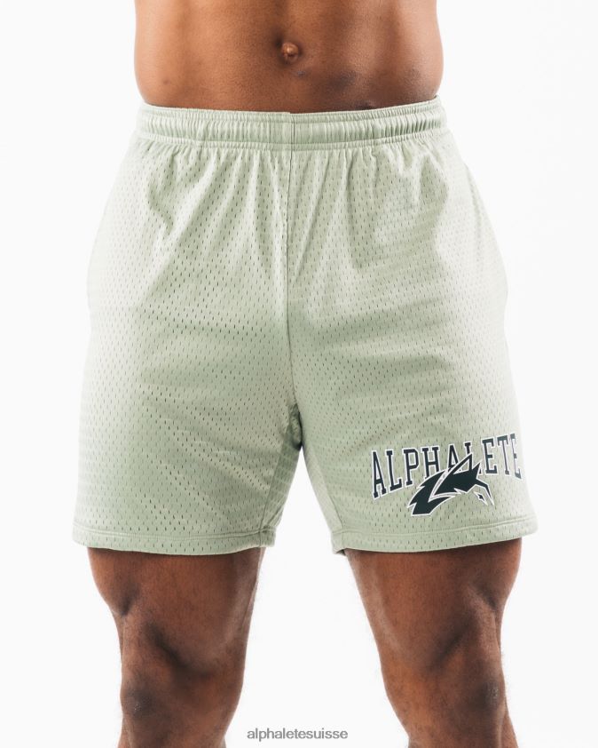 Hommes vêtements 46FZDN661 Alphalete tête de loup maille courte 6" vert sauge