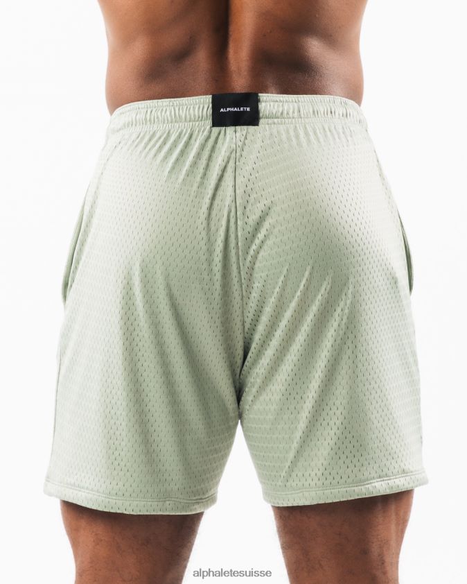 Hommes vêtements 46FZDN661 Alphalete tête de loup maille courte 6