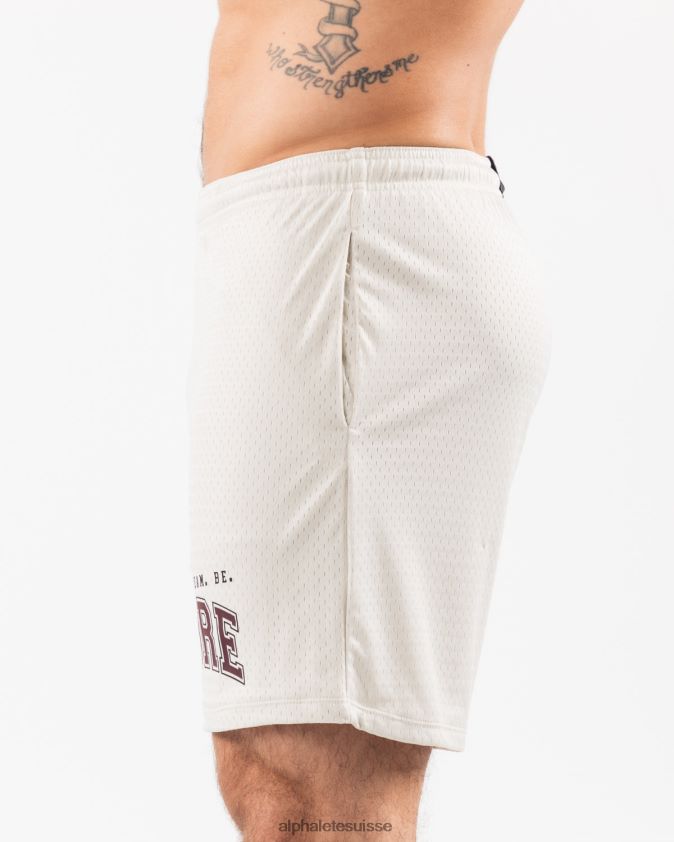 Hommes vêtements 46FZDN663 Alphalete ldb plus de maille courte 6