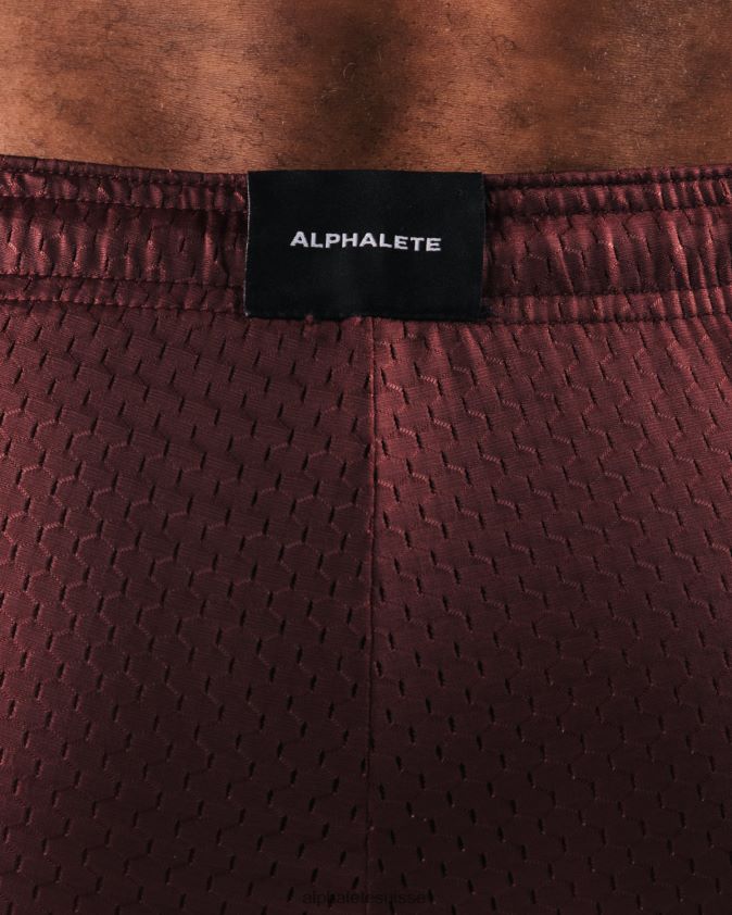 Hommes vêtements 46FZDN669 Alphalete ldb plus de maille courte 6