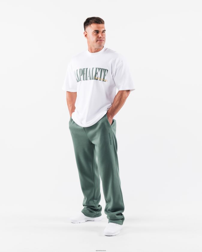 Hommes vêtements 46FZDN489 Alphalete tee-shirt république blanc