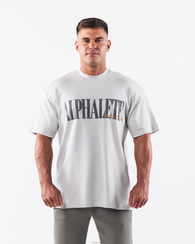 Hommes vêtements 46FZDN491 Alphalete tee-shirt république serena gris