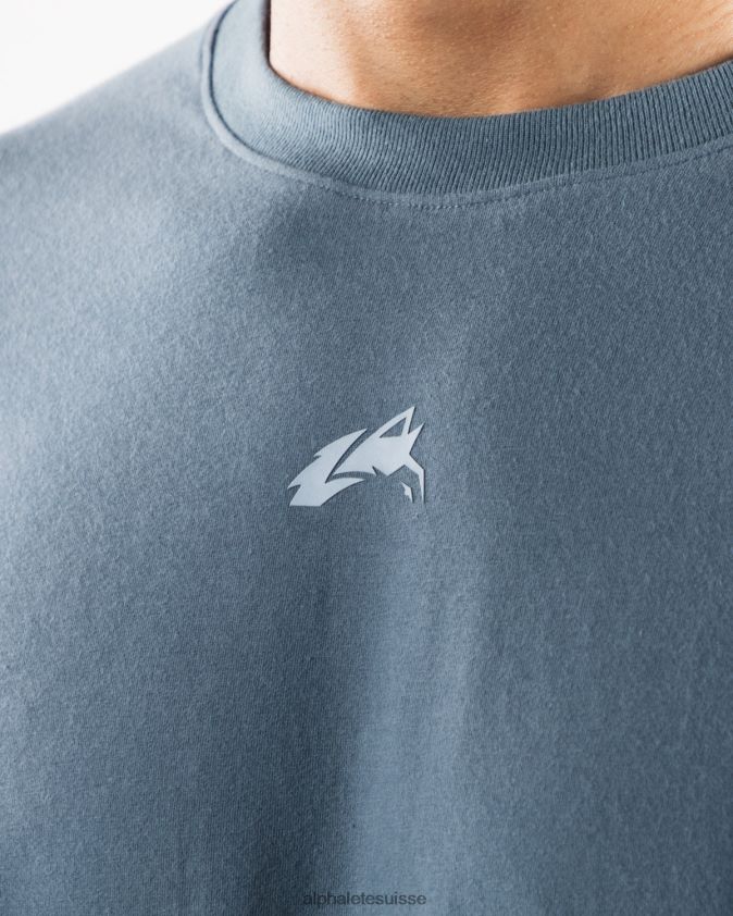 Hommes vêtements 46FZDN497 Alphalete té aligné bleu glacier