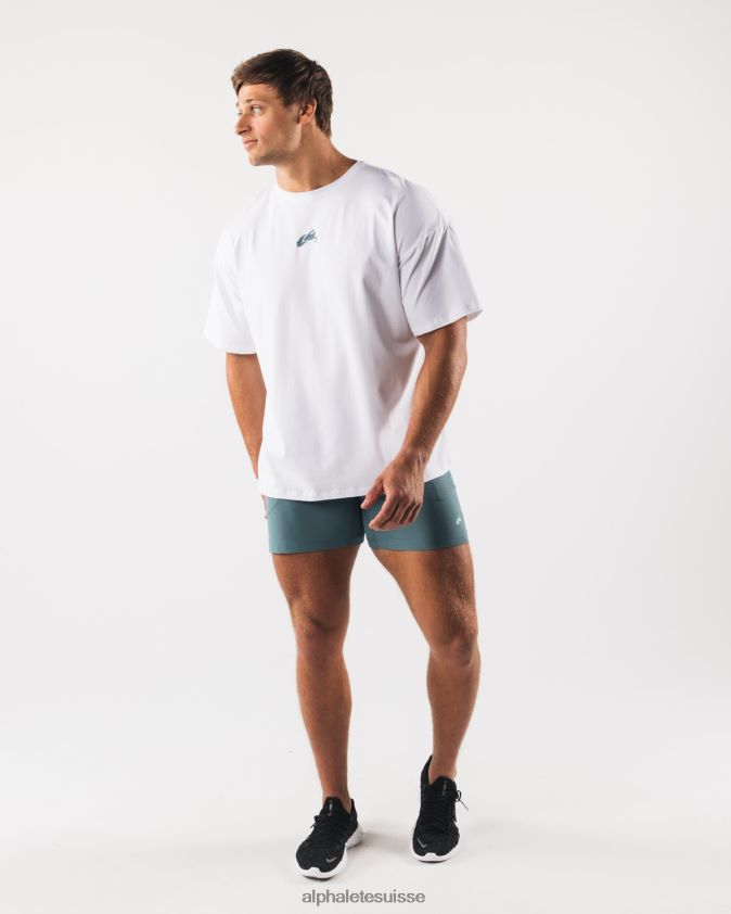 Hommes vêtements 46FZDN525 Alphalete t-shirt à imprimé cachemire tête de loup blanc