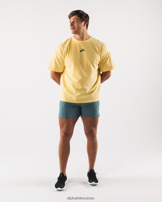 Hommes vêtements 46FZDN527 Alphalete t-shirt à imprimé cachemire tête de loup jaune
