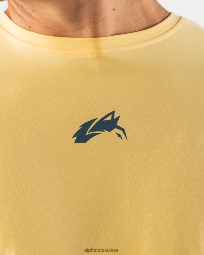 Hommes vêtements 46FZDN527 Alphalete t-shirt à imprimé cachemire tête de loup jaune
