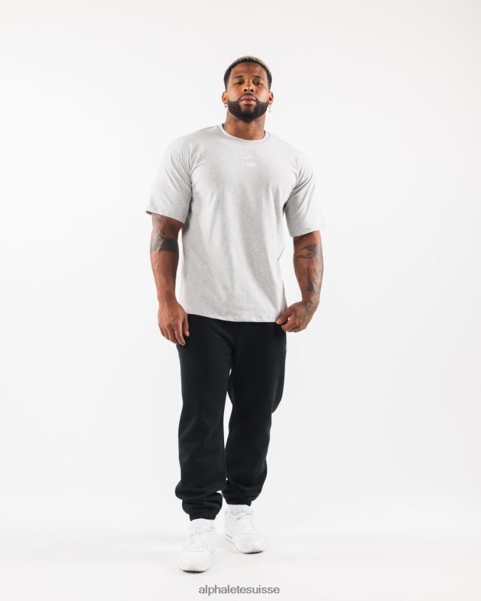 Hommes vêtements 46FZDN534 Alphalete t-shirt à écusson brossé gris chiné