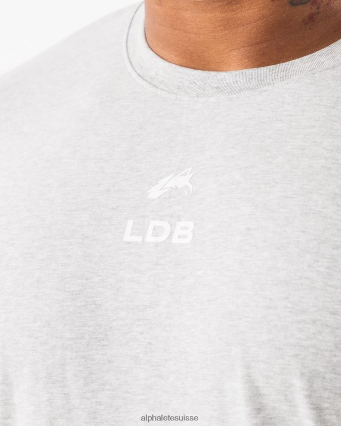 Hommes vêtements 46FZDN534 Alphalete t-shirt à écusson brossé gris chiné