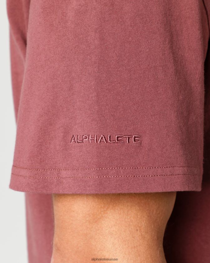 Hommes vêtements 46FZDN547 Alphalete t-shirt en coton épais rouge d'automne