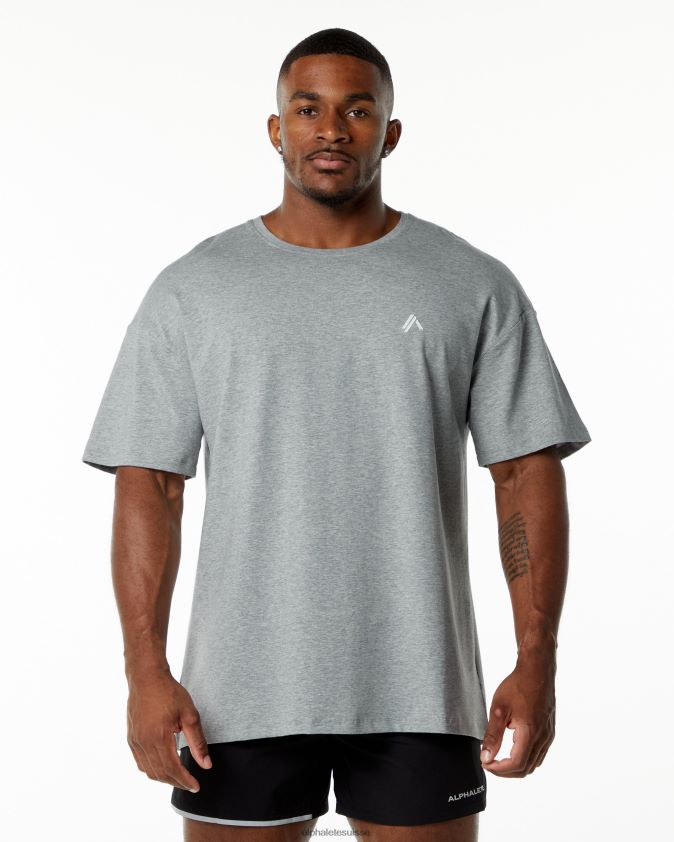 Hommes vêtements 46FZDN550 Alphalete tee-shirt emblème gris chiné