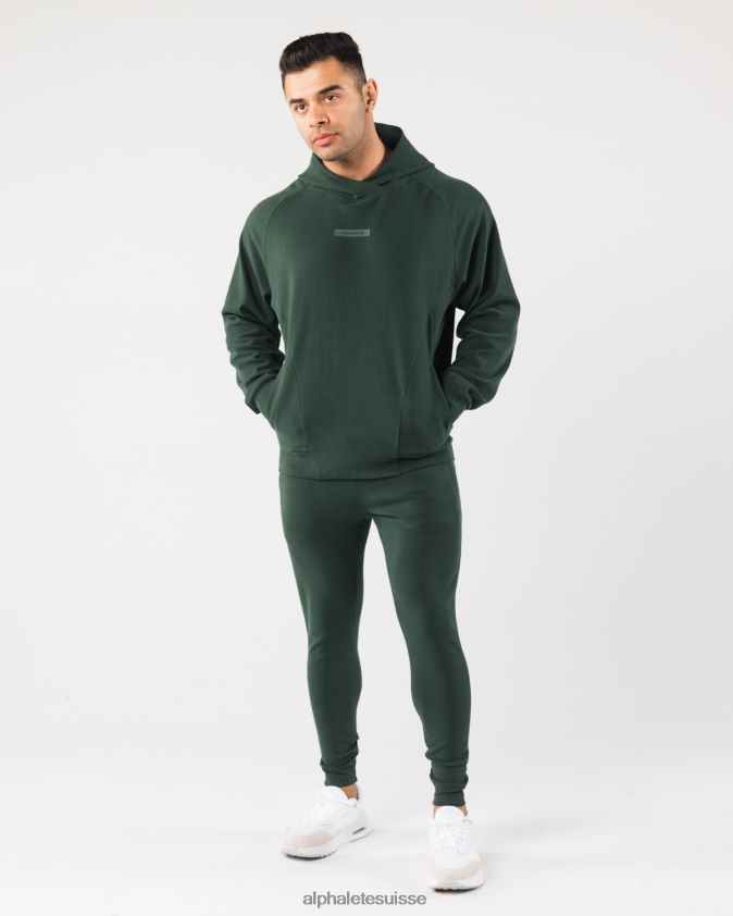 Hommes vêtements 46FZDN623 Alphalete sweat à capuche identité pro vert persistant