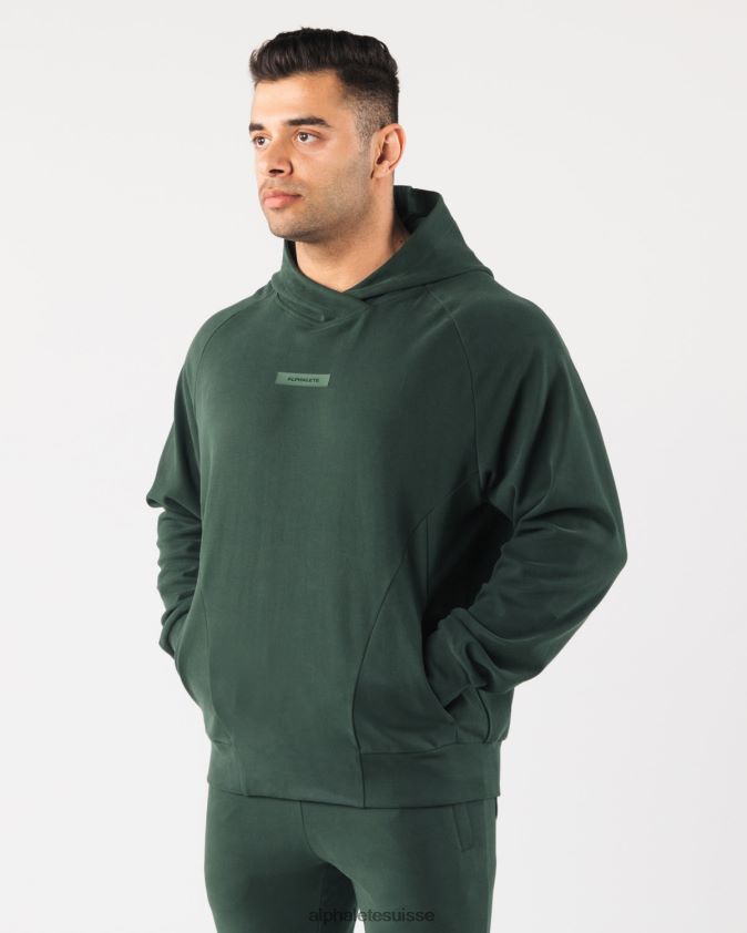Hommes vêtements 46FZDN623 Alphalete sweat à capuche identité pro vert persistant