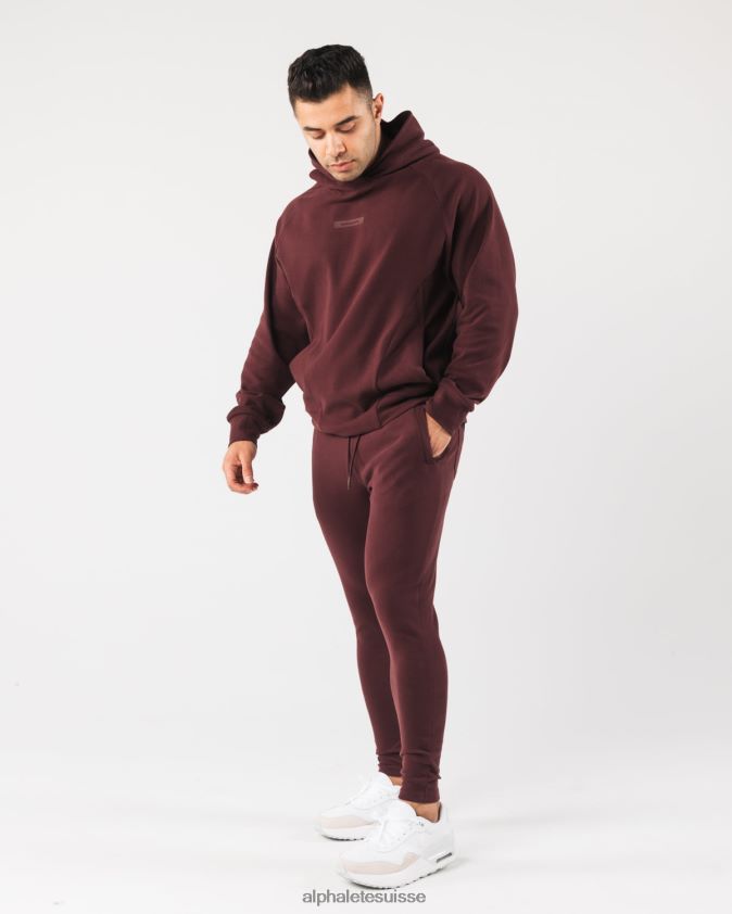 Hommes vêtements 46FZDN624 Alphalete sweat à capuche identité pro sangria rouge