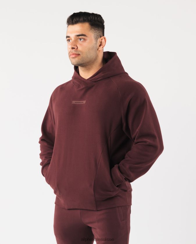 Hommes vêtements 46FZDN624 Alphalete sweat à capuche identité pro sangria rouge
