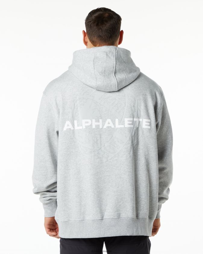 Hommes vêtements 46FZDN646 Alphalete sweat à capuche unité gris chiné