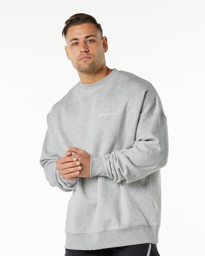 Hommes vêtements 46FZDN648 Alphalete équipage classique gris chiné