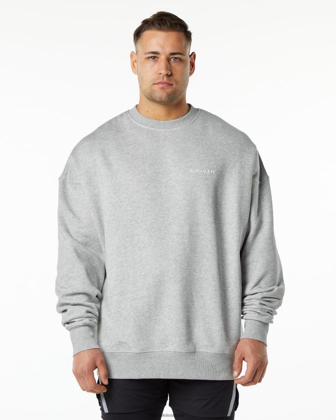 Hommes vêtements 46FZDN648 Alphalete équipage classique gris chiné