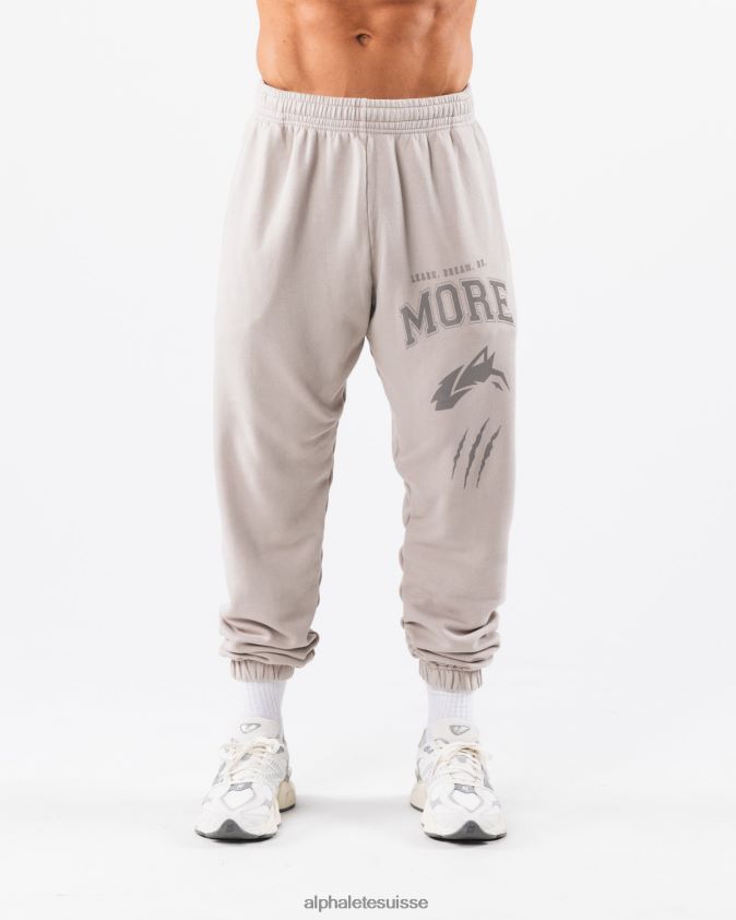 unisexe vêtements 46FZDN455 Alphalete jogger graphique à teinture terre Gris Argenté