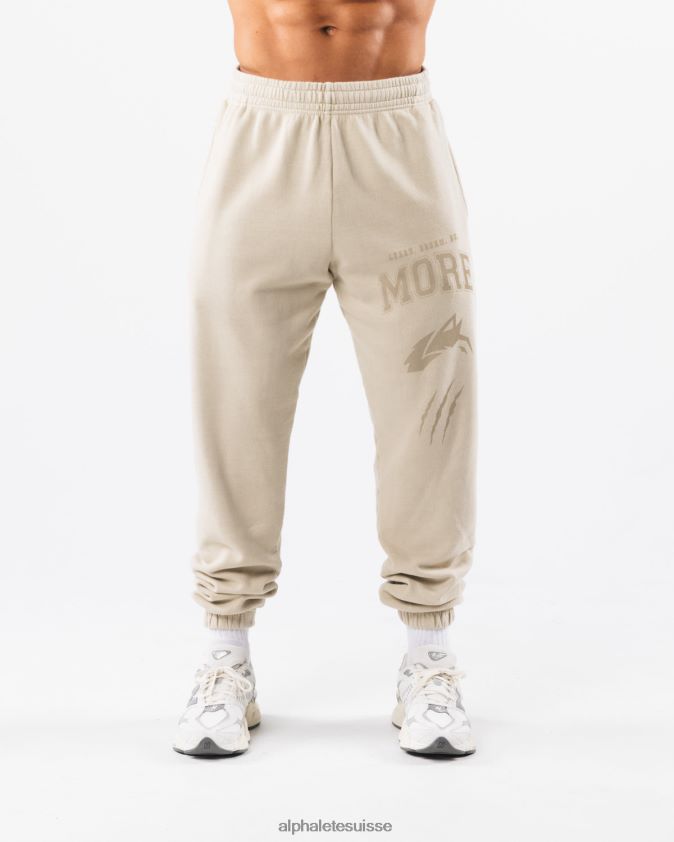 unisexe vêtements 46FZDN456 Alphalete jogger graphique à teinture terre coquille marron