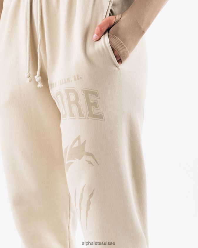 unisexe vêtements 46FZDN456 Alphalete jogger graphique à teinture terre coquille marron