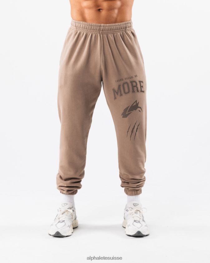 unisexe vêtements 46FZDN457 Alphalete jogger graphique à teinture terre brun mudstone