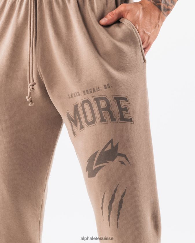 unisexe vêtements 46FZDN457 Alphalete jogger graphique à teinture terre brun mudstone