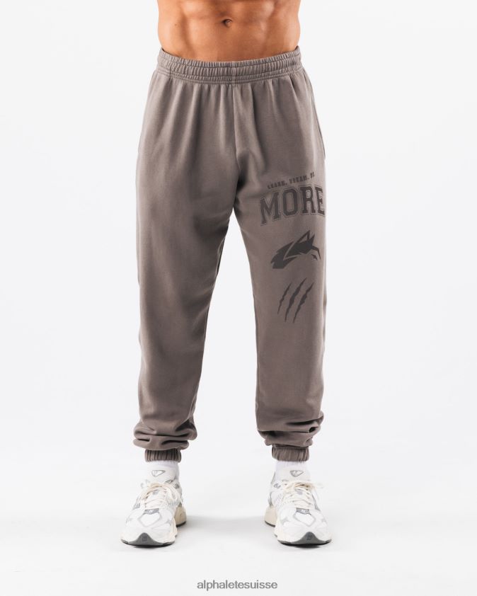 unisexe vêtements 46FZDN458 Alphalete jogger graphique à teinture terre cendre grise