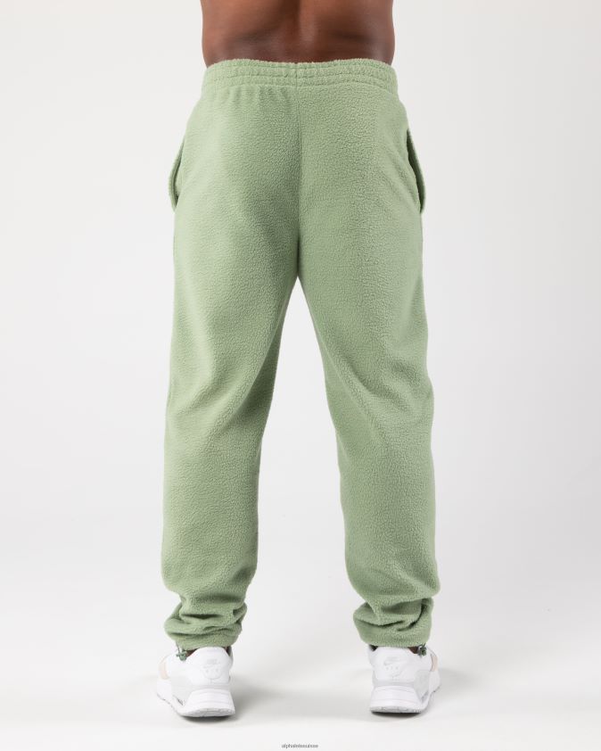 unisexe vêtements 46FZDN484 Alphalete roi jogger vert sauge