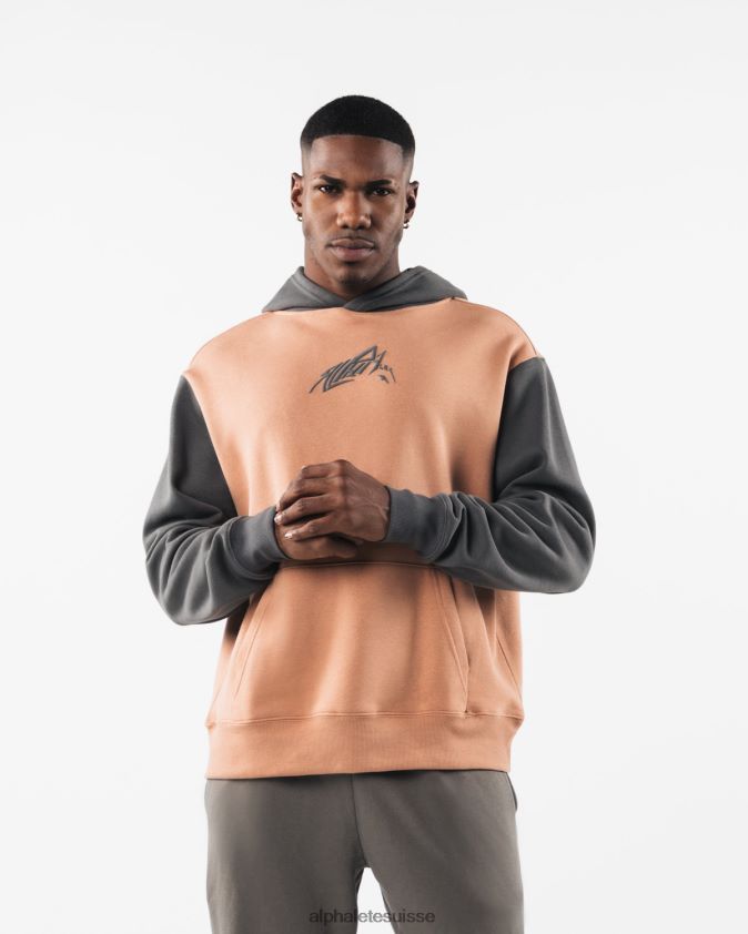 unisexe vêtements 46FZDN270 Alphalete sweat à capuche au pochoir brun argile