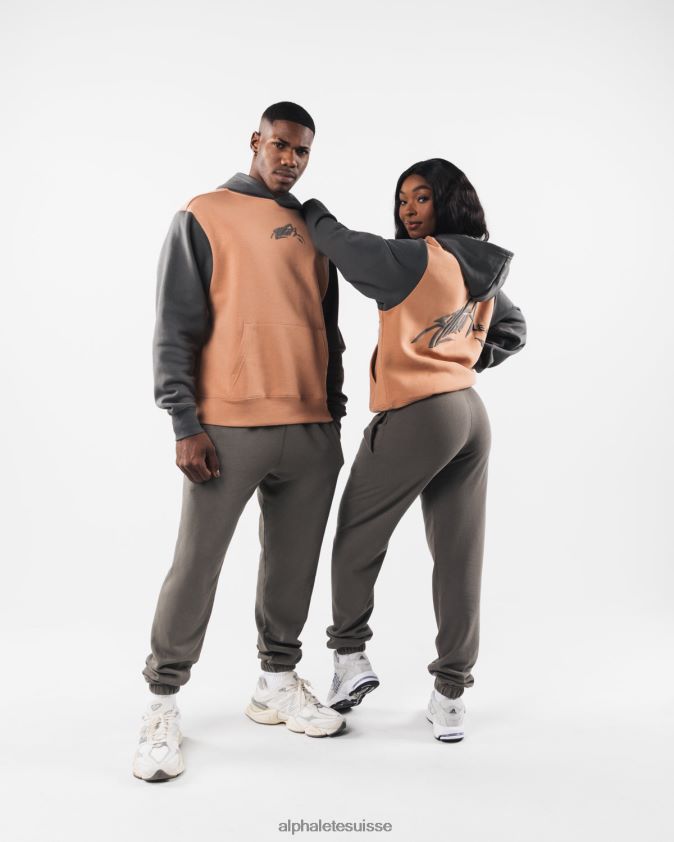 unisexe vêtements 46FZDN270 Alphalete sweat à capuche au pochoir brun argile