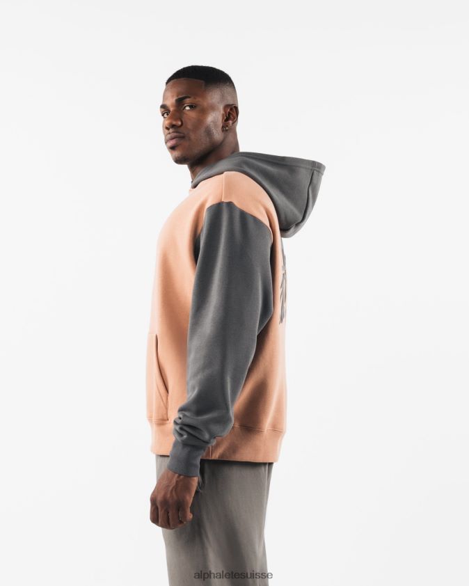 unisexe vêtements 46FZDN270 Alphalete sweat à capuche au pochoir brun argile