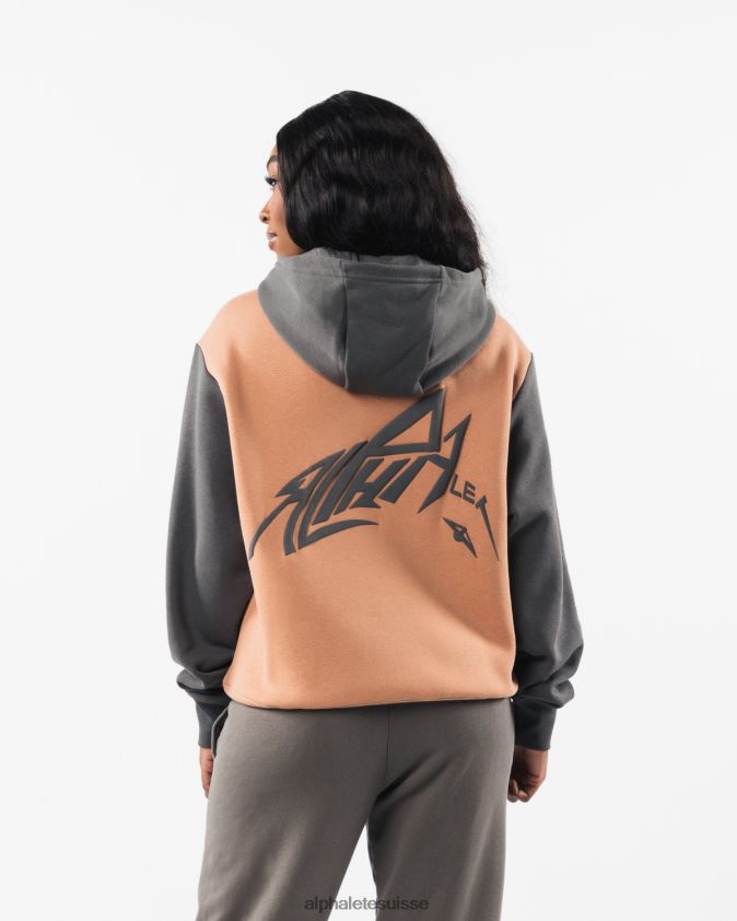 unisexe vêtements 46FZDN270 Alphalete sweat à capuche au pochoir brun argile