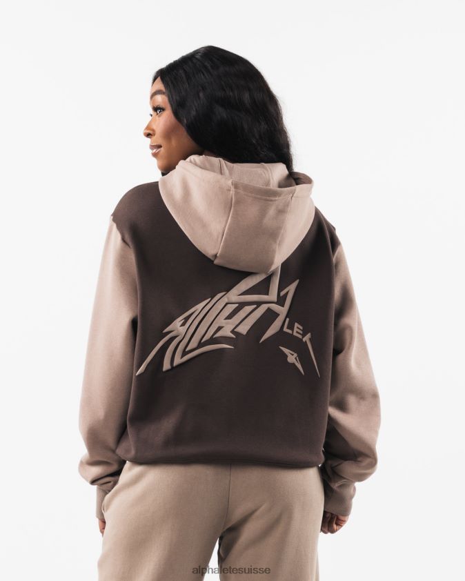 unisexe vêtements 46FZDN271 Alphalete sweat à capuche au pochoir cachemire marron