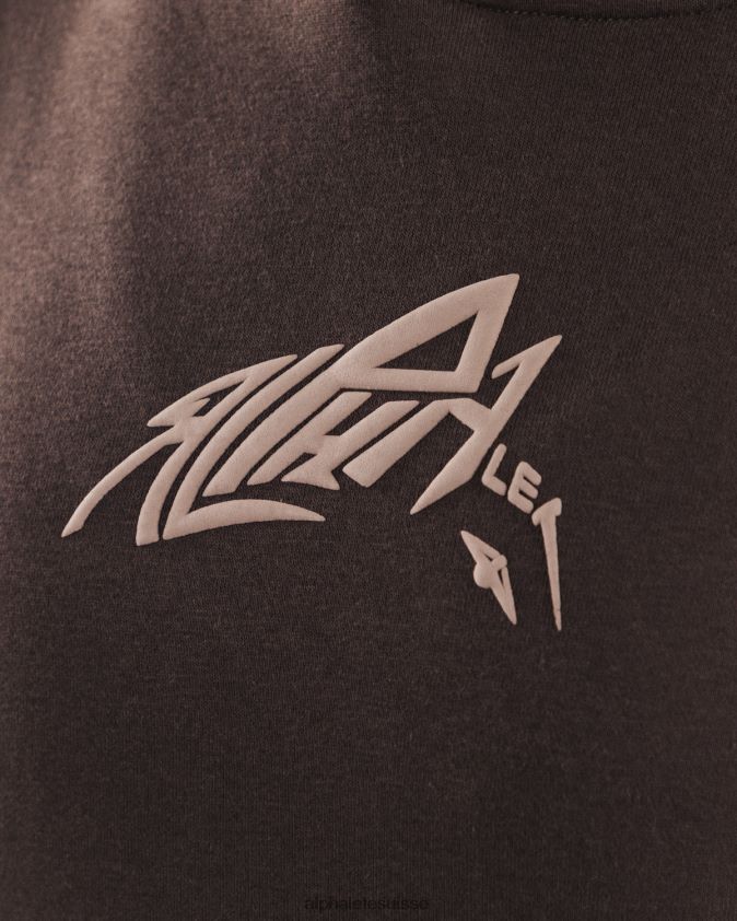 unisexe vêtements 46FZDN271 Alphalete sweat à capuche au pochoir cachemire marron